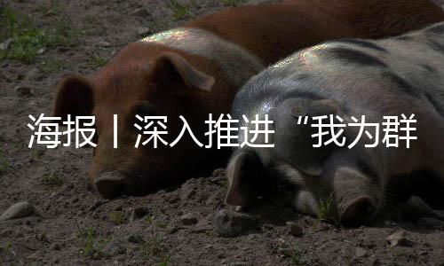 海报丨深入推进“我为群众办实事”实践活动,24个字要牢记